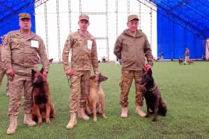 «Көктемгі кездесулер-2025»: Халықаралық иттер көрмесі өтті