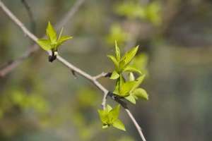 Еліміздің басым бөлігінде өрт қаупі болжанды