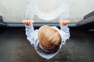 ТЖМ балалардың терезеден құлауының алдын алатын шараларды айтты