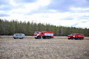 Абай облысындағы өрттен 400 гектар орман алқабы жанып кеткен