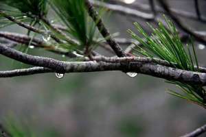 Елімізде күн күрт суытады – Қазгидромет