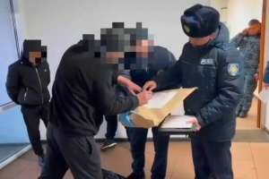 Полицейлер қызметтік иттің көмегімен аса ірі көлемдегі есірткіні тәркіледі (ВИДЕО)