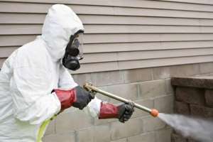 Елордада дератизация жұмысы екі маусымда жүргізіледі