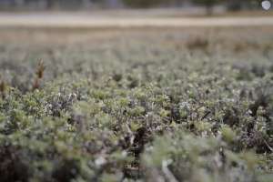 Алдағы күндері ауа райы қандай болады