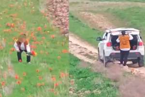 Желіде 12 млн теңгенің қызғалдағын жұлған әйелдің видеосы тарады