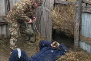 БҚО-да ер адам шөп орамының астында қалды