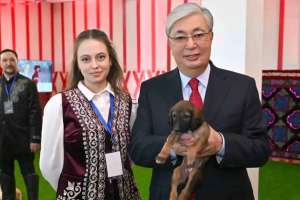 Тоқаев тазы мен төбетті кеңінен насихаттау жөнінде тапсырма берді