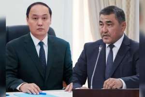 «Әкімді сынаған»: министр желідегі жазбаға не үшін лүпіл басқанын түсіндірді