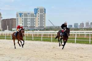 Ұлы Жеңіске 80 жыл:  Елордада Astana Cup ат жарысы басталды