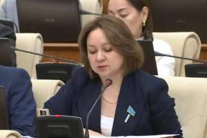 Сот орындаушы өзіне пайда әкелетін құжаттарды ғана орындауға тырысады – Снежанна Имашева