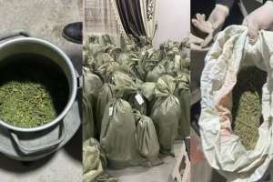 Қызылорда облысында заңсыз айналымнан 87 келіге жуық есірткі тәркіленді