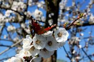 Наурыз мейрамында қазақстандықтар қанша күн демалады