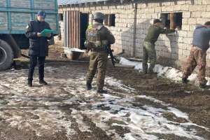 Қазақ-өзбек шекарасында 450 метрлік туннель табылды