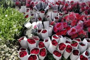 Қазақстанға гүлдер қай елдерден әкелінеді