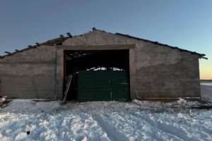 Ақмола облысында 59 жылқы ұрлаған күдікті ұсталды