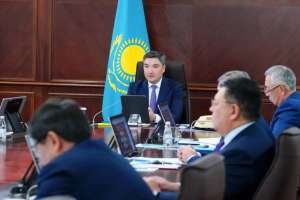 Үкімет АЭС салу бойынша референдум өткізуге қатысты қаулы қабылдады