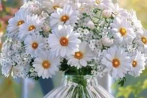 Наурызда қазақстандықтар қанша күн демалады?