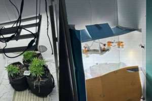 ІІМ: Полиция тәулік ішінде үш есірткі зертханасын жойды