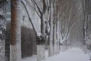 Бірқатар өңірде дауылды ескерту жарияланды