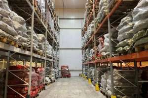 Астанада картоп бағасы тұрақталды