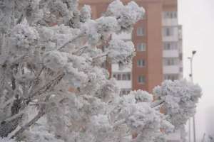 Алдағы күндері 35 градусқа дейін аяз болуы мүмкін