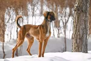 Елімізде жаңа мереке күні пайда болады