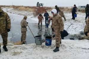 Атырау облысында 8,5 млн шабақ құтқарылды