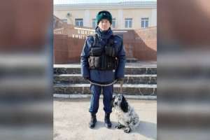 Қызметтік иттердің көмегімен 40 келіден  астам есірткі тәркіленді