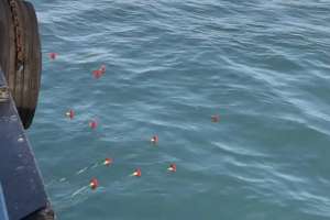 Маңғыстау облысында ұшақ апатынан қаза тапқандар құрметіне Каспий теңізіне гүл шоқтары жіберілді