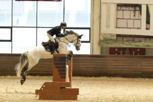 Елордадағы конкур бәсекесіне 100-ге жуық қатысушы жиналды