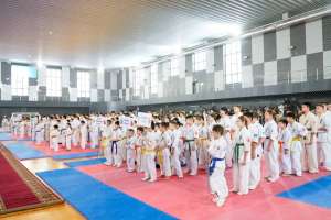 Елордада шинкиокушинкай каратэ турниріне  500-дей қатысушы жиналды