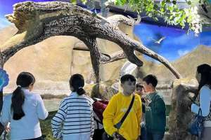 Астаналық оқушылар теңіз әлеміне саяхат жасады