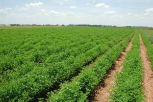 Қарағанды облысында жерді қайтару жоспары артығымен орындалды