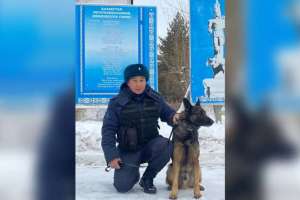Қызметтік ит сарбаздарға  есірткі табуға көмектесті