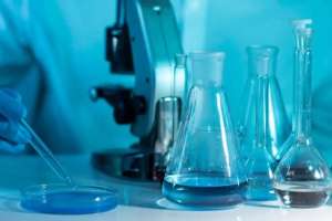 Каспий жағалауында итбалықтардың өлу себептері анықталып жатыр