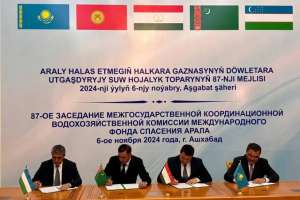 Қазақстан көрші елдерден 11 млрд текше метр су алады