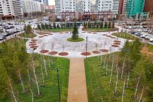 «Керуен» СОО маңына 600-ден астам ағаш отырғызылды – Жеңіс Қасымбек