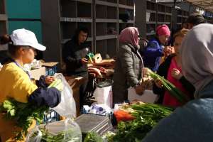 Астанада демалыс күндері ауыл шаруашылығы жәрмеңкесі басталады