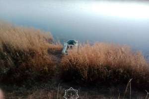 ТЖМ құтқарушылары адасып қалған балықшыларды тапты