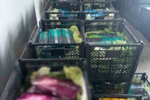 Темекі өнімдерін заңсыз тасымалдаудың жолы кесілді