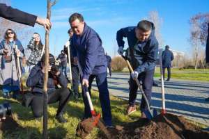 Жеңіс Қасымбек елорданы ауқымды көгалдандыру туралы айтты