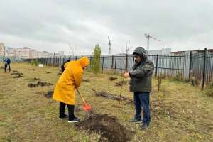 Астанада 2,5 мың ағаш отырғызылды