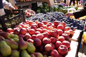 Астанадағы жәрмеңкеге төрт облыстан 900 тонна өнім жеткізіледі