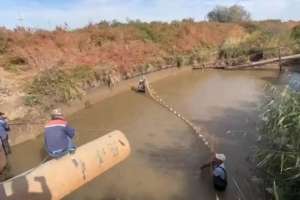 Жайық-Каспий бассейнінде 116 млн-нан астам балық құтқарылды