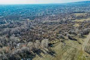 Талдықорғанда заңсыз берілген жерлер мемлекетке қайтарылды