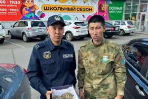 Өскеменде полицейлер ортаазиялық тасбақалардың заңсыз сатылымының жолын кесті