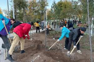 «Таза Қазақстан»: Сарыарқа ауданына ағаштар мен бұталар отырғызылды