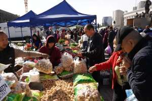Астанада өтетін жәрмеңкеге үш облыс 400 тоннадан астам өнім әкеледі