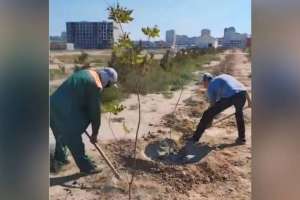 Маңғыстау облысында 160 сотталған қоғамдық жұмыстарға тартылды