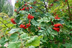 Еліміздің кей өңірінде қар жаууы мүмкін